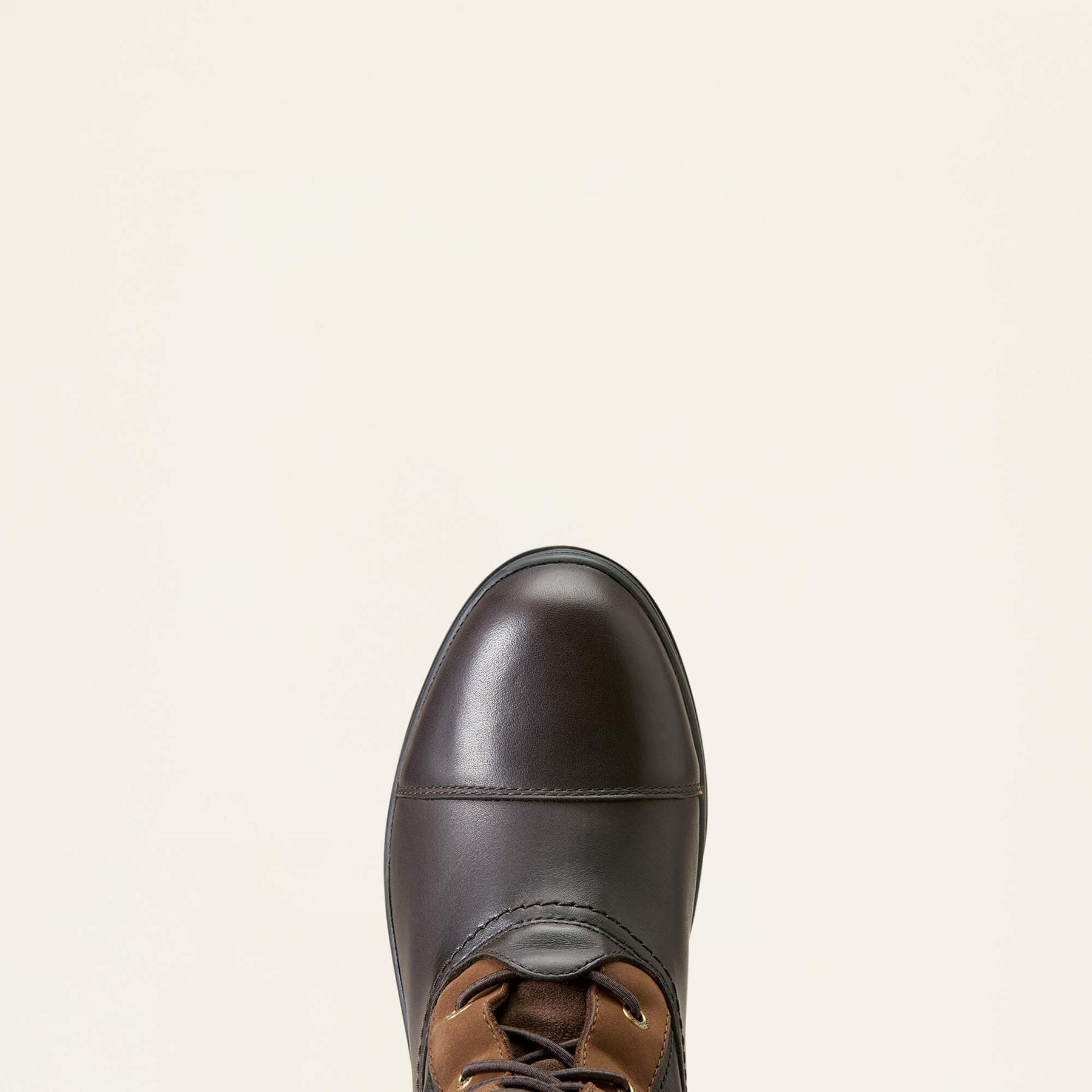 product/a/r/ariat_10047005_2.jpg