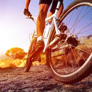 Bikes