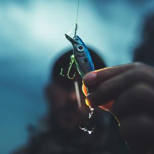 Bait