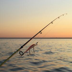 Rods