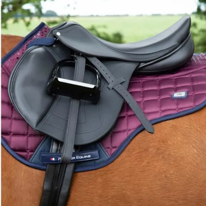 Saddles & Straps