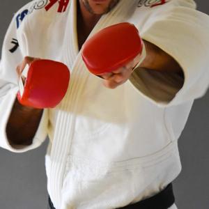 Jiu-Jitsu Gloves