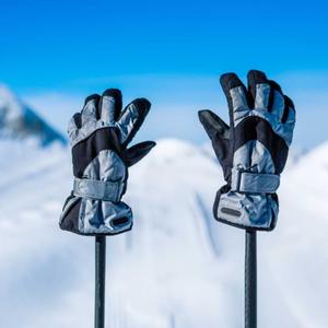 Gloves