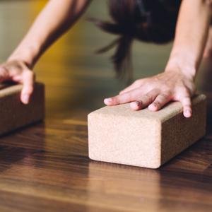 Yoga Bricks