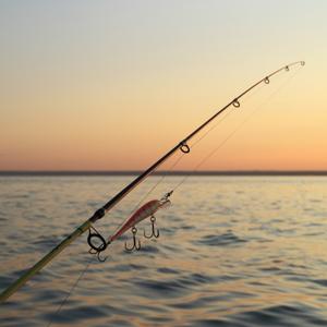 Rods