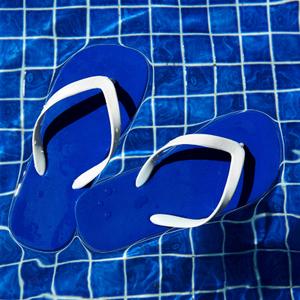 Flip Flops