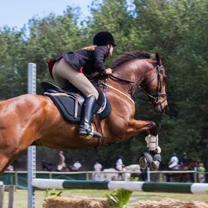 Horseback Riding