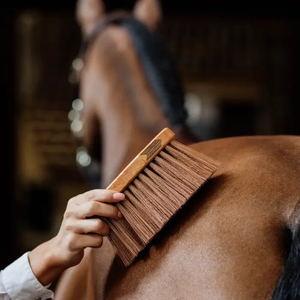Grooming Gear