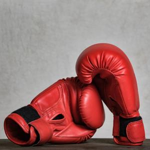 Gloves