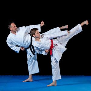 Karate & Taekwondo