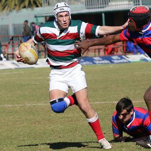 Rugby Polos