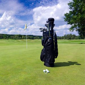 Bags & Carts