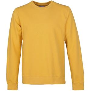 cs1005-burnedyellow-sweatshirt-crewneck-colorful-standard-classic-organic-burned-yellow-burned-yellow