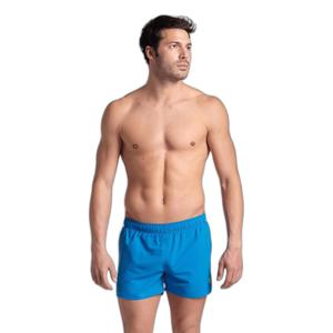 006441-862-swim-shorts-arena-fundamentals-x-r-blue-lake-soft-green