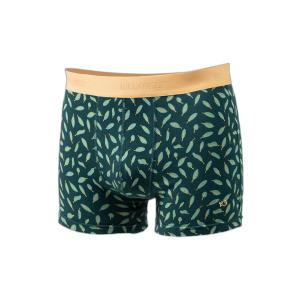 bo46-boxer-shorts-billybelt-banana-leaf-green
