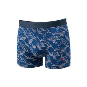 bo67-boxer-shorts-billybelt-turtle-twist-blue