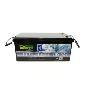 bsr-bac-36100-battery-bsr-lifepo4-36v-100-ah-black-one-size