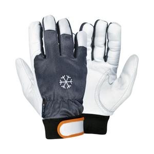 g115-dd00-workshop-gloves-cofra-coldext-x12-black-white