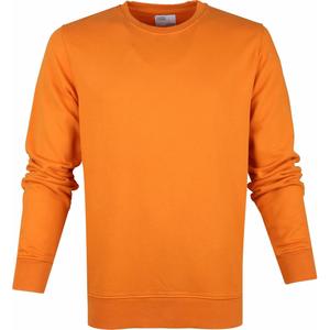 cs1005-burnedorange-sweatshirt-crewneck-colorful-standard-classic-organic-burned-orange-burned-orange