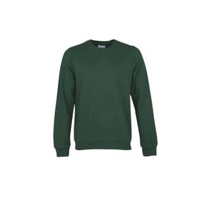 cs1005-emeraldgreen-sweatshirt-crewneck-colorful-standard-classic-organic-emerald-green-emerald-green