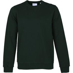 cs1005-huntergreen-sweatshirt-crewneck-colorful-standard-classic-organic-hunter-green-hunter-green