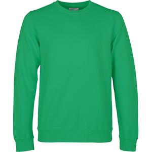 cs1005-kellygreen-sweatshirt-crewneck-colorful-standard-classic-organic-kelly-green-kelly-green