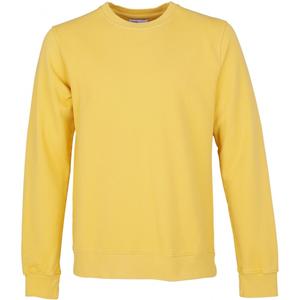 cs1005-lemonyellow-sweatshirt-crewneck-colorful-standard-classic-organic-lemon-yellow-lemon-yellow