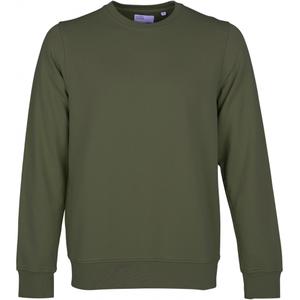 cs1005-seaweedgreen-sweatshirt-crewneck-colorful-standard-classic-organic-seaweed-green-seaweed-green