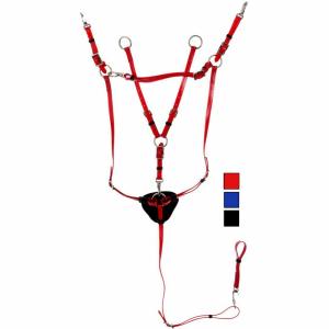 1170199-06-hunting-collar-for-horse-and-martingale-daslo-pvc-red-full