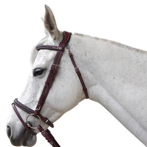 171128-marron-bridles-for-horses-flags-cup-aachen-brown