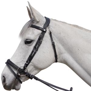 171128-noir-bridles-for-horses-flags-cup-aachen-black