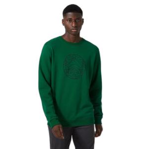 62933-486-helly-hansen-f2f-cotton-sweatshirt-malachite