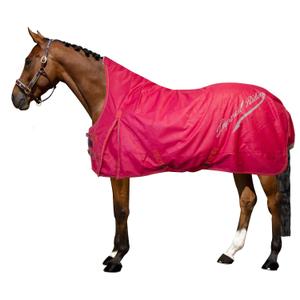 de50314001-3000-outdoor-horse-blanket-imperial-riding-super-dry-0-g-red