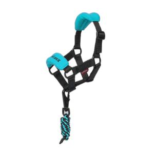 it03931001-halter-for-plush-lemieux-toy-pony-vogue-azure-one-size