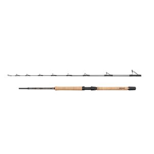 1620451-cane-boat-penn-regiment-iv-pro-30-50lb-x2-silver-2-10-m