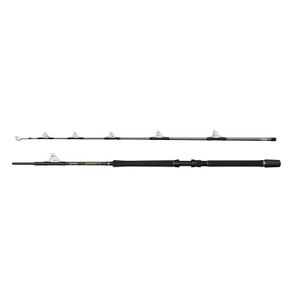 1620471-cane-boat-penn-regiment-iv-roller-30-50lb-silver-2-m