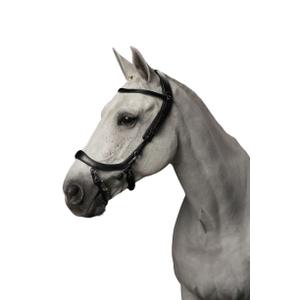 p700-zw-riding-bridles-presteq-faysport-black