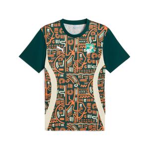 777218-04-pre-match-shirt-cote-d-ivoire-can-2025-green
