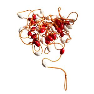 22243-pool-divider-safety-rope-spinera-professional-red-white-25-m