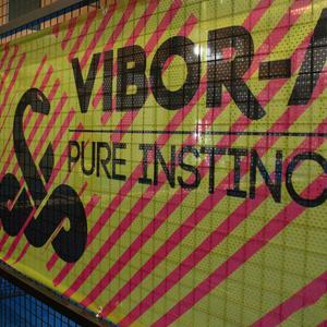 a005734-077-1-advertising-banner-vibora-lona-estampado-rayas-one-size
